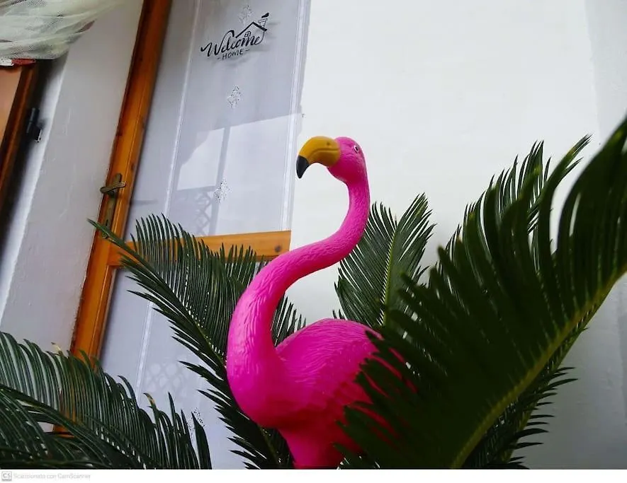 הוילה סאן תאודורו Casa Flamingo House