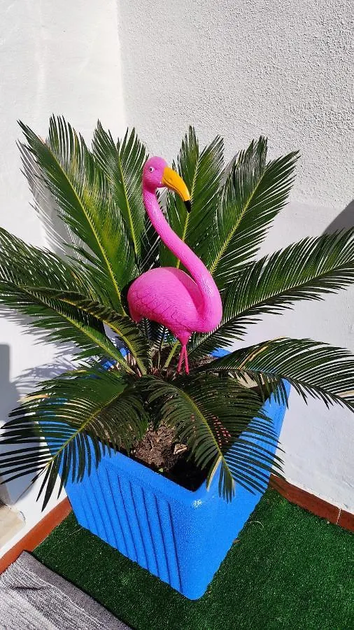 הוילה סאן תאודורו Casa Flamingo House